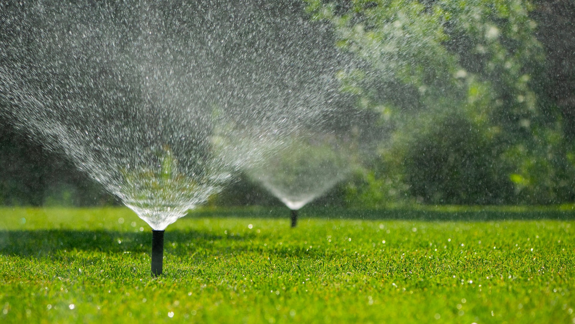 Multiple automatic sprinklers watering the lush green lawn on a sunny day